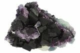 Dark Purple Cubic Fluorite Crystal Cluster - China #124252-1